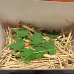 傳 - 傳タッキー