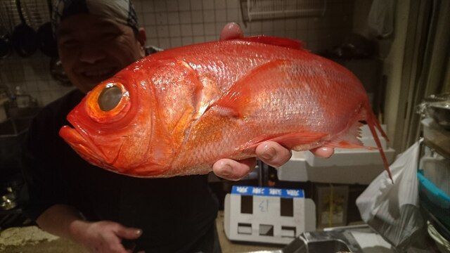 Sakana Shokudo Uofuji photo 4