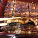 Unagi Doujou - 