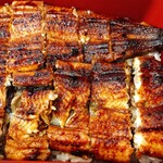 Unagi Doujou - 