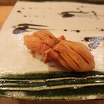 Sushi Sakanaryuu - 