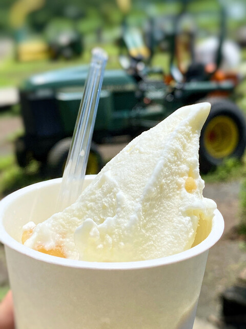 The Photo Of Food Hattoribokujouaisukurimukoubokasaringa Tabelog The Photo Of Food Hattoribokujouaisukurimukoubokasaringa Tabelog
