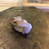 松寿司 - 鮎をお寿司で　深い味わい