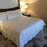 The Westin Grande Sukhumvit - 広め