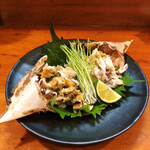 Femme de bateau Aoki - 