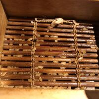 にょろ助 銀座 - 容器の底。物理的に完食できない。