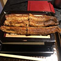 にょろ助 銀座 - 特上。通常価格5,800円。