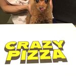 CRAZY PIZZA - くるみとピザボックス