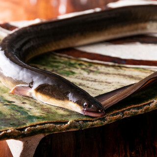 selection course using carefully selected seasonal ingredients including locally grilled eel