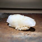 菊鮨 - 障泥烏賊（アオリイカ）・・丁寧に包丁を入れられていました。ねっとり感・甘味を感じ美味しい。