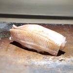 菊鮨 - 春子(玄海）・・水分が残る絶妙の仕上げで美味。