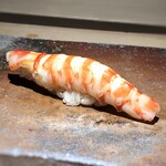 菊鮨 - 車海老（五島・天然物）・・口に入れると、甘いこと。