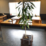 Ramenfakutori - 何気に観葉植物も置いてあったりします