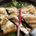 圭蔵 - 宍道湖の天然鰻の白焼き