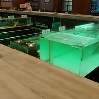 博多料亭 稚加榮 - 生け簀満載