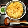 手打ちうどん麦なわ - かき揚げうどん