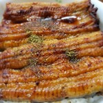 Unagi Nihon Ryouri Ebisuya - 