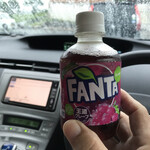 山茶花の湯 - 全国でも売ってるやろ〜
味は同じやと思う