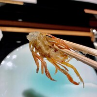 天ぷら 大坂屋 草哲 - 車海老頭