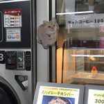 唐揚げ かわはら - 