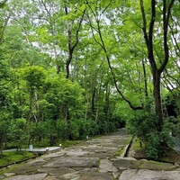 ザ リビング パビリオン by アマン  - 