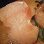 うぶか - 向付　長崎ほうぼう　そぎ造り　煎り酒で