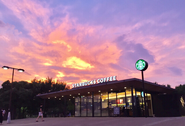 スターバックス コーヒー 三木サービスエリア上り線店 大村 カフェ 食べログ スターバックス コーヒー 三木サービスエリア上り線店 大村 カフェ 食べログ