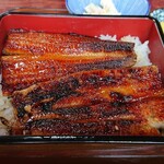 やなぎ - 重アップ