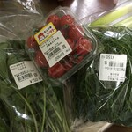 道の駅 風和里しばやま - 野菜たち～