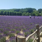 とみたメロンハウス - 