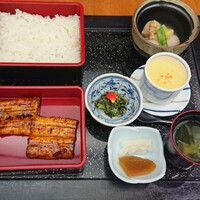 うなぎ 仲じま - かば焼き御膳(半身) ¥2800
                      ＊鰻(岐阜県産)
                      ＊小鉢(ほうれん草胡麻和)
                      ＊白米(北竜町ななつぼし)
                      ＊小煮物(里芋鶏餡掛)
                      ＊茶碗蒸し
                      ＊肝吸い物(わかめ&とろろ昆布)
                      ＊漬物