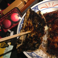 炭焼きうなぎ・かしわ 登河 - 