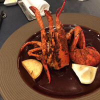 キハチ 名古屋JRセントラルタワーズ店 - 