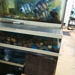 おかもと鮮魚店  - 生簀も完備✨