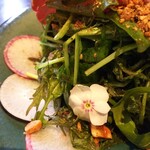 リストリア グランデ アルベロ - 