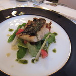 RISTORANTE REGA - 魚料理（天然スズキのグリル、徳島産フルーツトマトほか有機野菜添え）