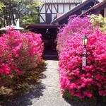 Tannen Tei - 停车场入口（杜鹃花）