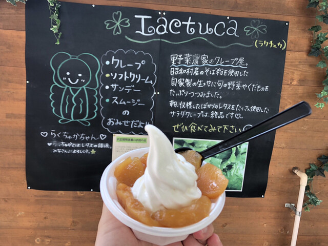 ラクチュZリーフレット