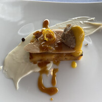 International cuisine subzero - 