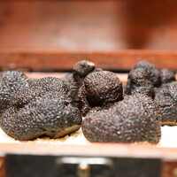 西麻布 焼肉 X - 