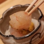 鮨 さかい - (07)牡丹海老(北海道増毛産)