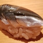 鮨 さかい - (12)新子(熊本県天草産、6枚載せ)