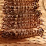 鮨 さかい - (17)車海老(福岡県産)