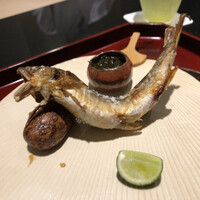 日本料理 晴山 - 