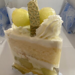 ハンプティーダンプティー - メロンショート