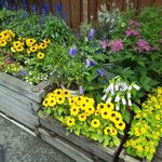 カフェむぎわらい - 