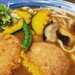 手延べうどん 水山 - カツカレーうどん。