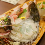 網元の宿 ろくや - 地魚大量船盛り：マゴチ姿造り