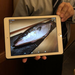 Sushi Hanaoka - iPadで説明してくださるスタッフさん