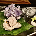 大どころ - 鱧（対馬産）。